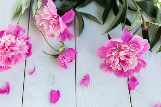 ピンクの新鮮な花瓶を下げる