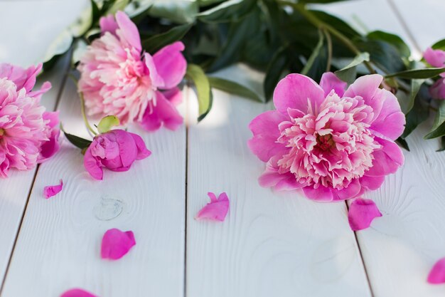 Foto fiori rosa freschi in vaso