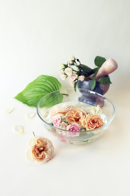 Pink fresh rose bowl of water with roses and flower petals mortar on light background body care