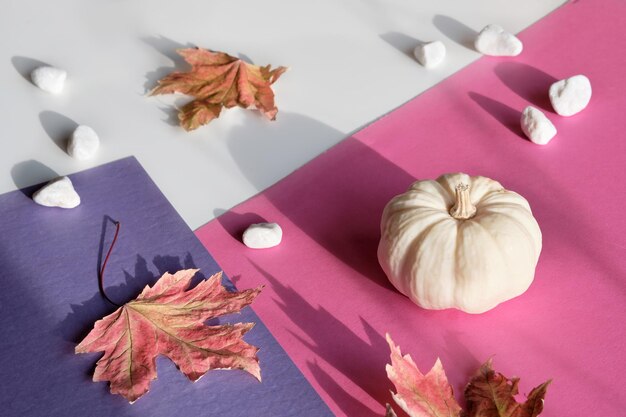 秋の装飾が施されたピンクのフクシア紙の背景ピンクのカボチャと乾燥した秋の葉の単色の外観