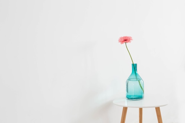 pink gerber oin glass vase on white background