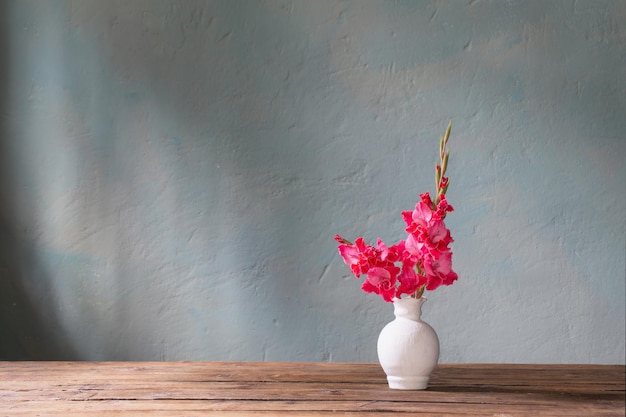 Pink gladiolus in white vase on background blue wall