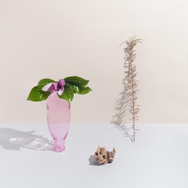 Pink glass bottle paper and dry plant on pastel beige background Conceptual minimal scene