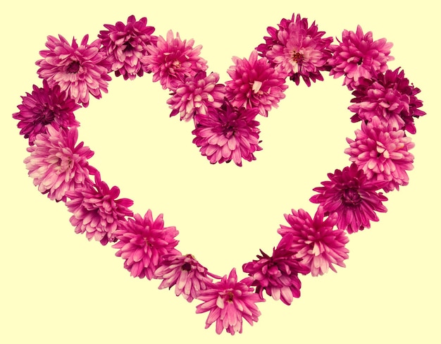 Pink heart from chrysanthemum flowers. Valentine's Day. Love. Retro filter. Vintage. Flat, top view