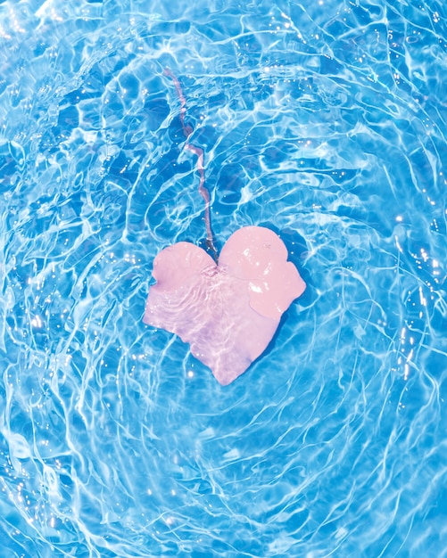 Foglia rosa a forma di cuore in acqua ondulata blu. bella scena minimale piatta.