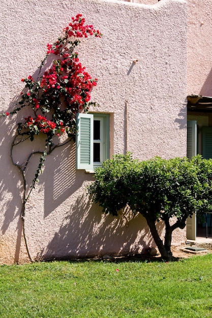 Pink house and a palm grove Peloponnese Greece