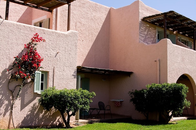 Pink house and a palm grove Peloponnese Greece