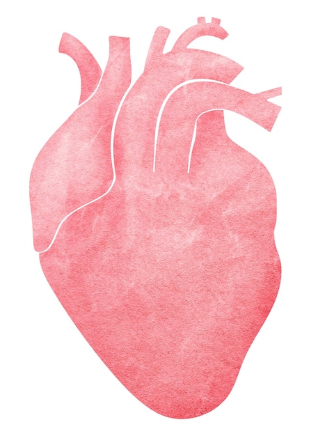 Pink human heart png sticker pink paper collage transparent background