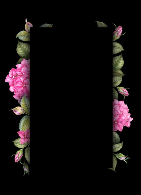 Розовые цветы гортензии на черном фоне