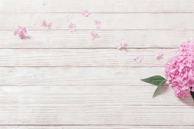 Pink hydrangea on white wooden