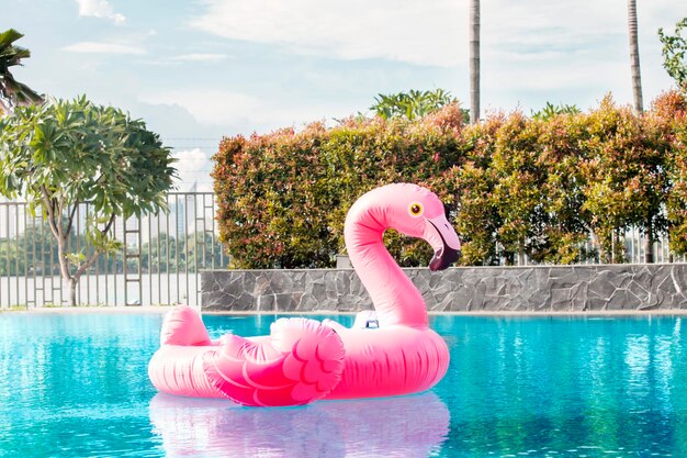 Pink inflatable flamingo floating on the pool