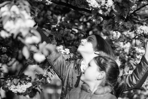 ピンクは私たちのお気に入りです子供たちは春の庭を楽しむ桜の庭姉妹は公園の桜の木を散歩します子供は桜の木の背景の花ピンクの花柔らかな優しい花桜を楽しむ子供たち
