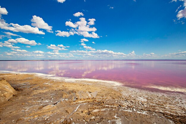 Foto il lago rosa è un lago salato nel deserto.