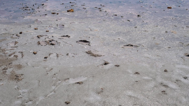 Pink lake made of salt sea salt created from microscopic unicellular algae secretes