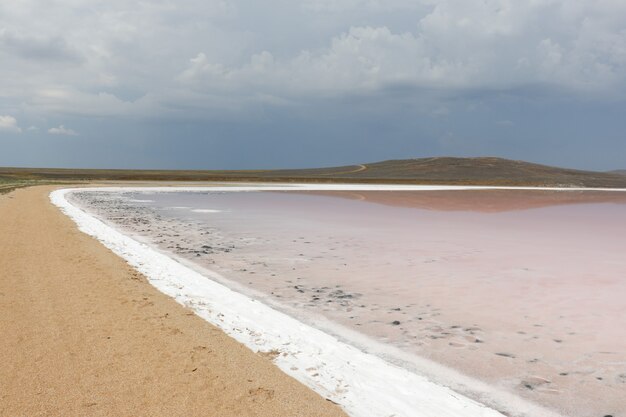 Pink lake martian landscape wildlife