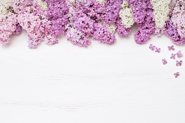 Pink lilac flowers on white background. Top view, copy space. Holiday concept. Spring background. 