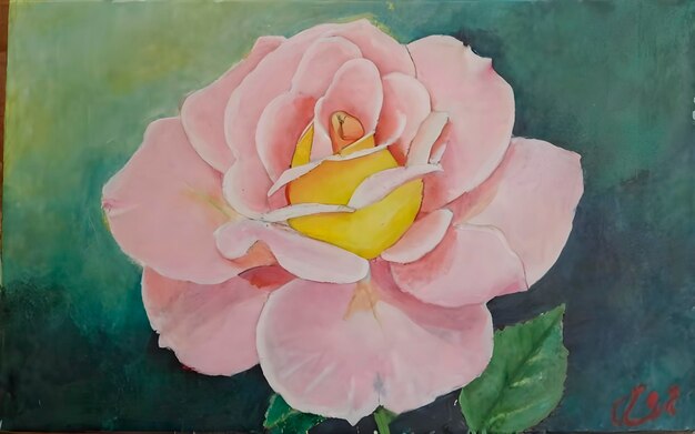 ピンクの蓮の花の絵を描いた