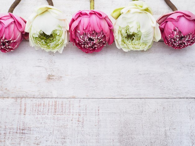 Pink lotus flowers on wooden table. 