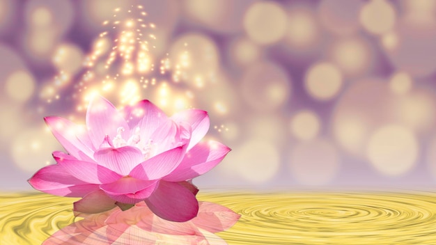 Pink lotus and the light of faith
