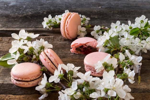 Pink macarons with chocolate ganache, caramel and raspberry. Flowering branch.