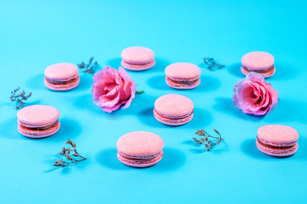 pink macaroons on a blue background