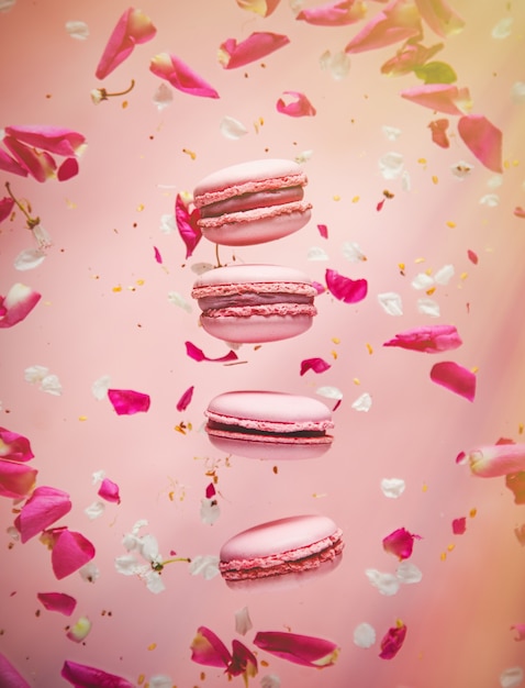 Pink macrons and rose petals fly in air. corner sunlight