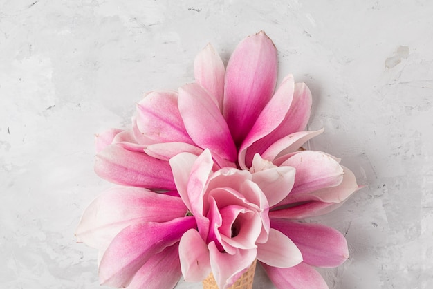 Розовый цветок магнолии в вафельном рожке на сером фоне