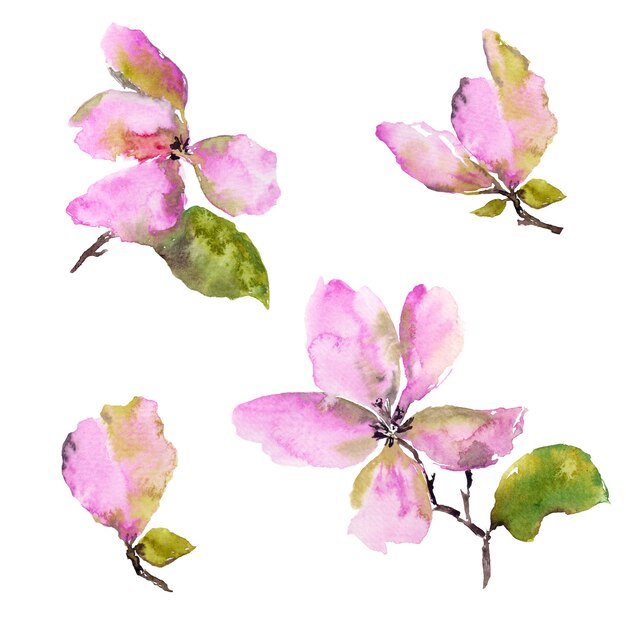 Pink magnolia flowers Watercolor flowers Floral decoration set Floral greeting card decor