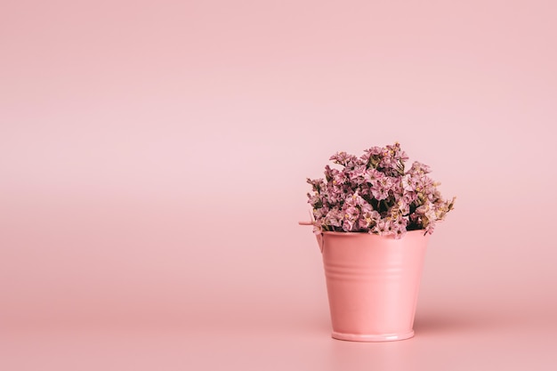 Cesto in metallo rosa con fiori naturali sulla parete rosa.