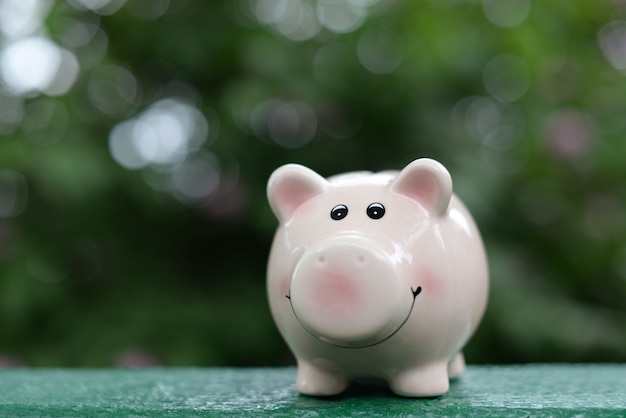 Pink money box for coins for economy