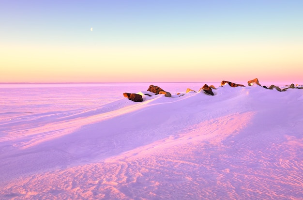 노보시비르스크 저수지 위의 분홍색 아침 바다는 얼음과 눈으로 덮여 있습니다
