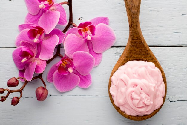 Pink orchid flower.