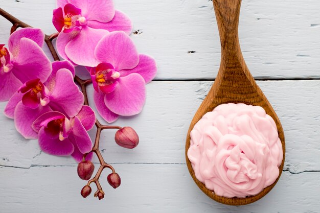 Pink orchid flower.