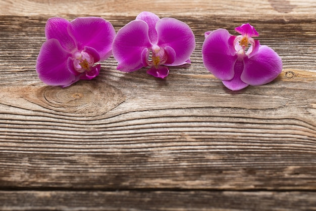 木製の背景にピンクの蘭の花