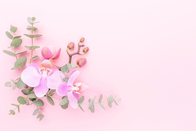 Pink orchid on the pastel background. Spa background.