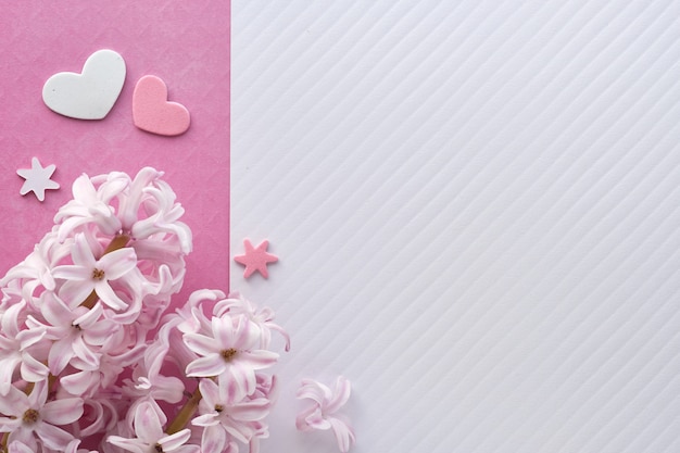 Pink pearl hyacinth flowers on colored paper  with decorative hearts, copy-space