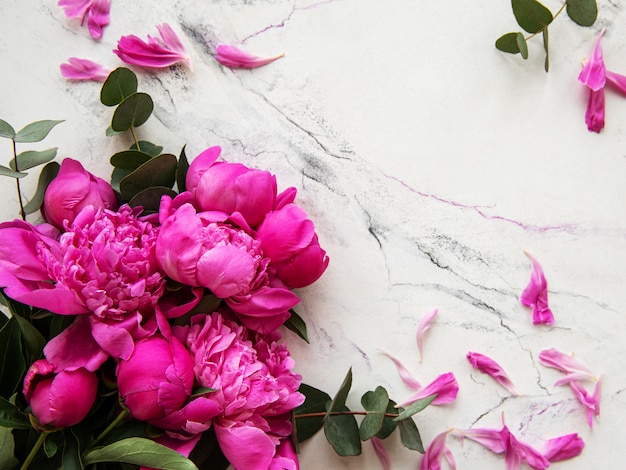 Pink peonies on a marble background