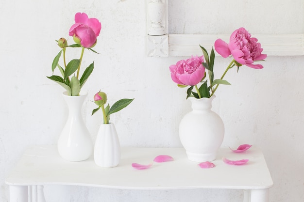 Pink peonies in vases on white background