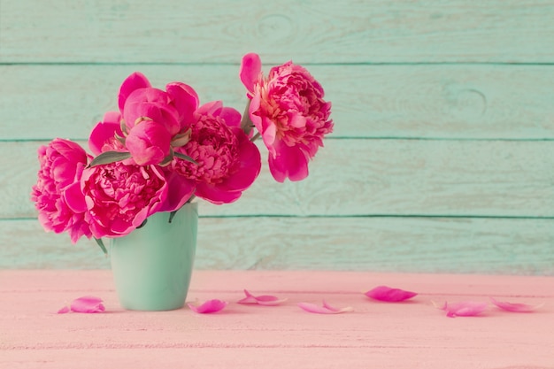 Pink peony on blue background