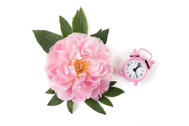 Pink peony flower and alarm clock isolated on white background Copy space Flat lay