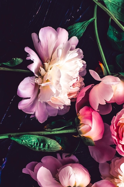 Розовые цветы пиона в качестве фона цветочного искусства, ботаническая плоскость и роскошный брендинг