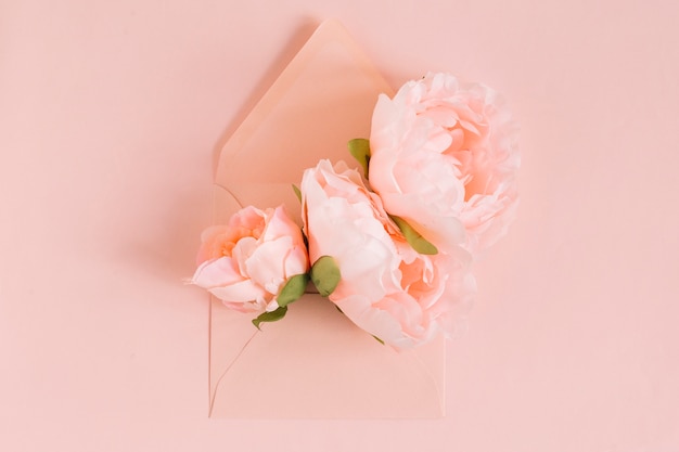 사진 배경색에 봉투에 분홍색 모란 꽃