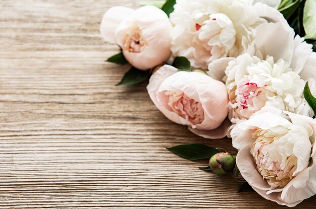 Pink peony flowers top view