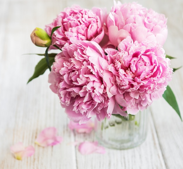 Pink peony flowers