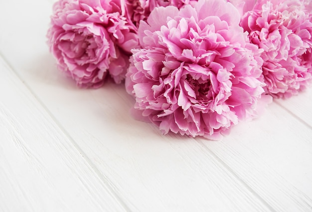 Pink peony flowers