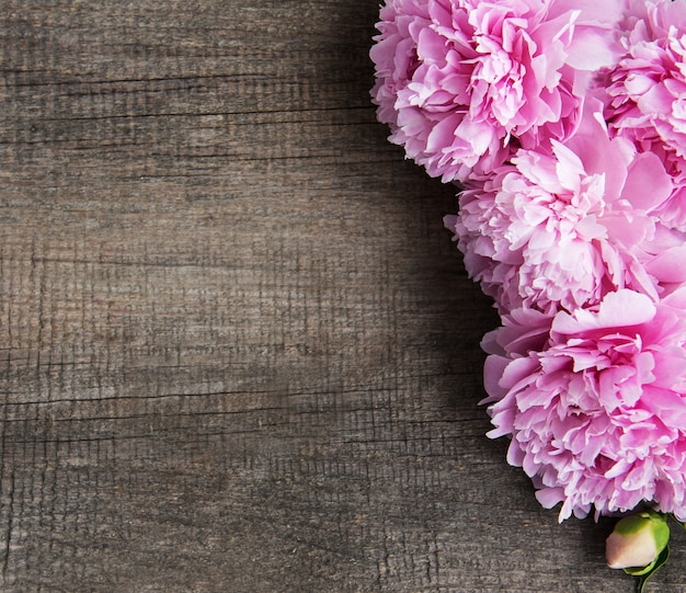 Pink peony flowers