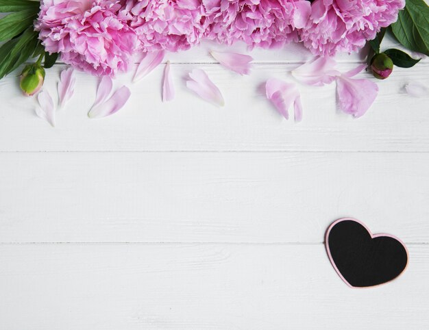 Pink peony flowers