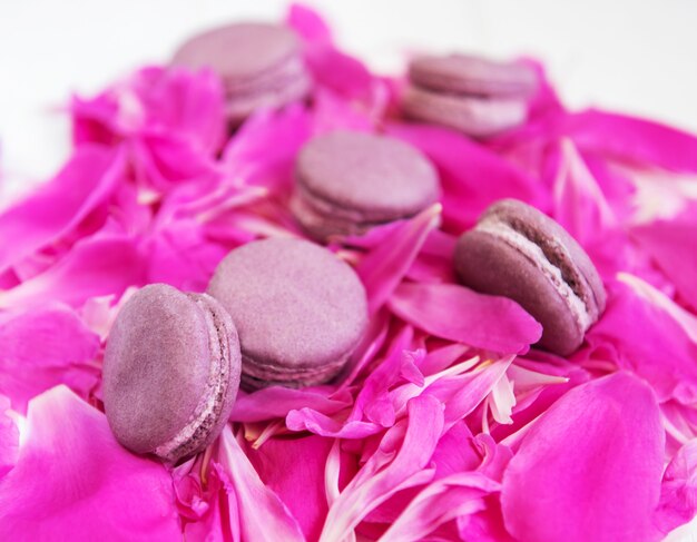 Pink peony petals with macarons