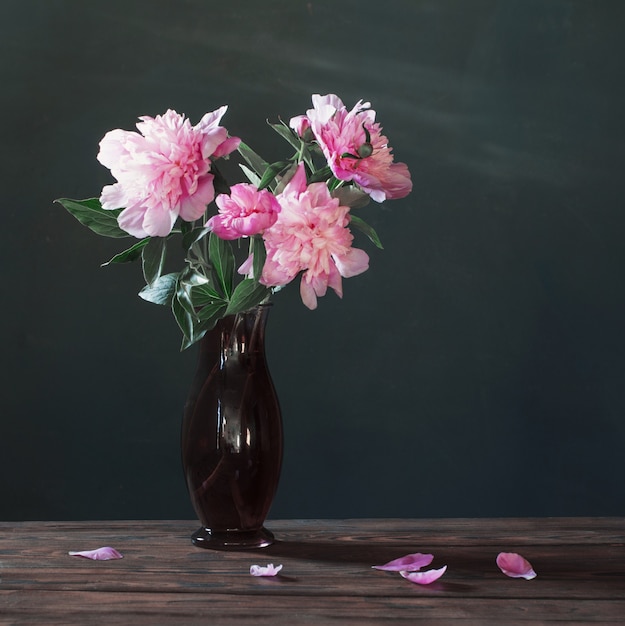 Peonia rosa in vaso su sfondo muro scuro