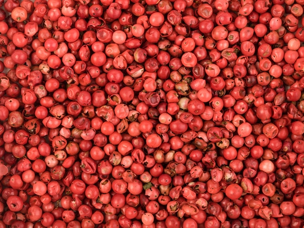 Pink Pepper or Red Pepper Corns